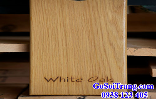 gỗ sồi trắng (white oak)