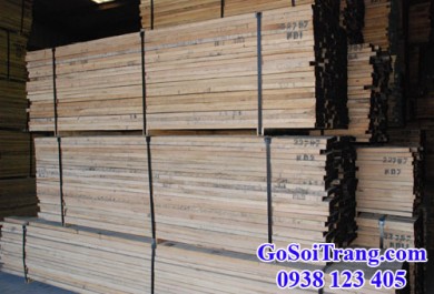 Những vấn đề liên quan đến gỗ sồi trắng bạn cần biết